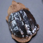 Tartaruga tea pet in ceramica fatta a mano — Tartaruga grande