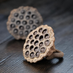 Tea pet a forma di capsula di loto in ceramica