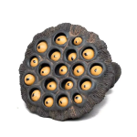 Tea pet a forma di capsula di loto in ceramica — Grigio scuro e arancione
