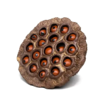 Tea pet a forma di capsula di loto in ceramica — Marrone chiaro e ruggine