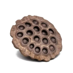 Tea pet a forma di capsula di loto in ceramica — Tortora