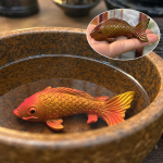 Tea pet carpa koi in resina — Arancione-rosso e oro