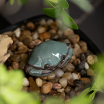 Tea pet granchio in ceramica craquelé