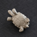 Tea pet tartaruga artigianale