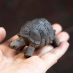 Tea pet tartaruga artigianale