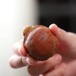 Tea pet tartaruga in argilla viola